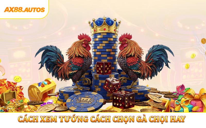Cách xem tướng gà chọi – 5 dấu hiệu quan trọng